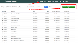 export excel files about sales and reports for accountant
